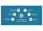 Invoidea Offers The Best WordPress Development Services in India