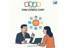 Zoho CRM Consultant for Seamless Integration and Growth