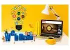 Elevate Your Brand With Best Website Design Company in Delhi Ncr