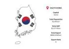 South Korea Export Data – Real Trade Insights for Your Business