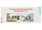 Dog Boarding Near Me  | CGS Hospital