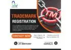 From Application to Approval – Complete Trademark Registration Assistance
