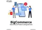 Reliable BigCommerce Product Data Entry Services