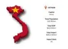Get Accurate Vietnam Import Data for Better Trade Insights