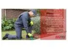 Termite Pest Control