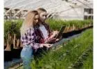 Find Best Nursery Business Software & Greenhouse ERP Here