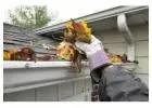 Best Gutter Cleaning service in St Marys