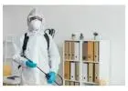 Professional Exterminator Services for Complete Pest Removal