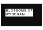 Flower Delivery Seabrook - Blossom of Wyndham