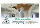 Keep Your Home Safe with Florida Mold Inspections