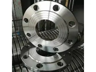 Industrial Stainless Steel Flanges Manufactured by Neelam Forge Industrial Stainless Steel Flanges Manufactured by Neelam Forge