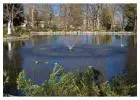 Pond Maintenance & Pond Supplies