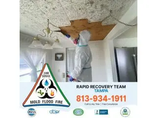 Breathe Easy Again with Tampa Mold Removal Experts Breathe Easy Again with Tampa Mold Removal Experts