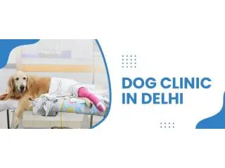 Dog Clinic in Delhi | CGS Hospital Dog Clinic in Delhi | CGS Hospital