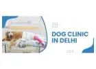 Dog Clinic in Delhi | CGS Hospital