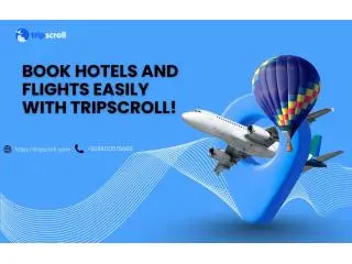 Trip Scroll – Trusted Tour and Travel Company in Gurgaon Trip Scroll – Trusted Tour and Travel Company in Gurgaon