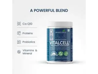 Buy Protein Powder for Cancer Patients Online in India | Immunosciences Buy Protein Powder for Cancer Patients Online in India | Immunosciences