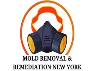 Mold Removal & Remediation New York - Bronx Mold Removal & Remediation New York - Bronx