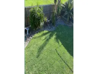 Best Lawn Care service in Green Point Best Lawn Care service in Green Point