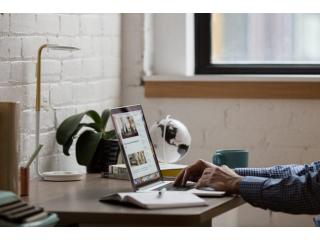 Can You Share A Link? Can You Share A Link?