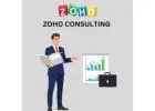Comprehensive Zoho Consulting to Optimize Your Operations