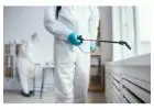 Trusted Pest Control Service Provider in Vancouver for Homes & Offices