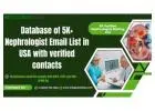 Nephrologists Email List – Target Kidney Specialists Effectively