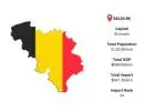 Belgium Import Data – Updated Shipment Records & Market Statistics | Import Globals