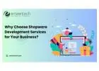 Why Choose Shopware Development Services for Your Business?