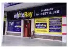 Choose WhiteRay Institute – The Top NEET Coaching in Chandigarh