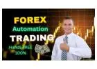 Beginner’s Luck? Not Needed with Forex Automation
