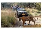 Ranthambore Tiger Reserve Safari Park: Plan Your Safari and Wildlife Tour – Ranthambhore National Pa
