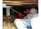 Best Commercial Pest Control service in Hoppers Crossing