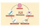 IUI Treatment Cost in Delhi - Dr Rhythm Gupta