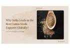 Cumin Seeds Exporters from India | Expertsofdeals.com Trusted