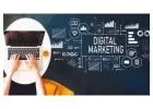 Blink N Boost - Digital Marketing Company in Mohali