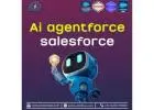 Salesforce Agentforce Consulting & Agent Services