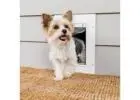 Expert Pet Door Sales and Installation in Orange County