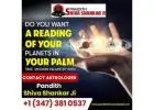 Palm Reading Specialists in New York