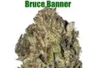 Buy Bruce Banner online in Canada
