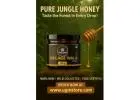 Pure Raw Jungly Honey from Deep Indian Forest | Bulk & Retail | Worldwide Shipping