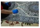 Trusted Carpet Color Restoration Services Near Me