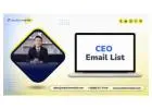 Buy a targeted CEO Email List outreach list for your campaigns