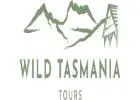 Best Tours from Hobart Tasmania to Explore the Wild