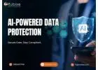 AI-Powered Data Protection & Compliance Solutions | Rubixe
