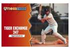 Tiger Exchange 247: Visit Tiger Exchange 247 to play cricket