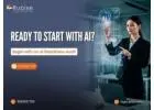 AI Readiness Audit to Kick-Start Your AI Journey| Rubixe