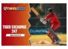 Tiger Exchange 247: the cricket game at Tiger Exchange 247