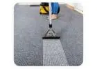 Expert Carpet Cleaning Services in Auckland