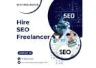 Hire SEO Freelancer for Sustainable Growth | SEO Freelancer Gurgaon